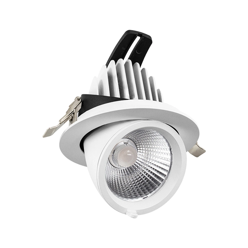 20W Ra80/Ra90 COB LED Gimbal Down Light