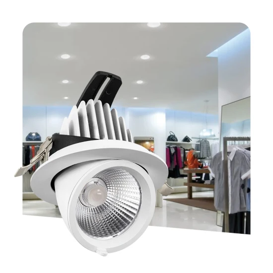 20W Ra80/Ra90 COB LED cardan vers le bas de la lumière